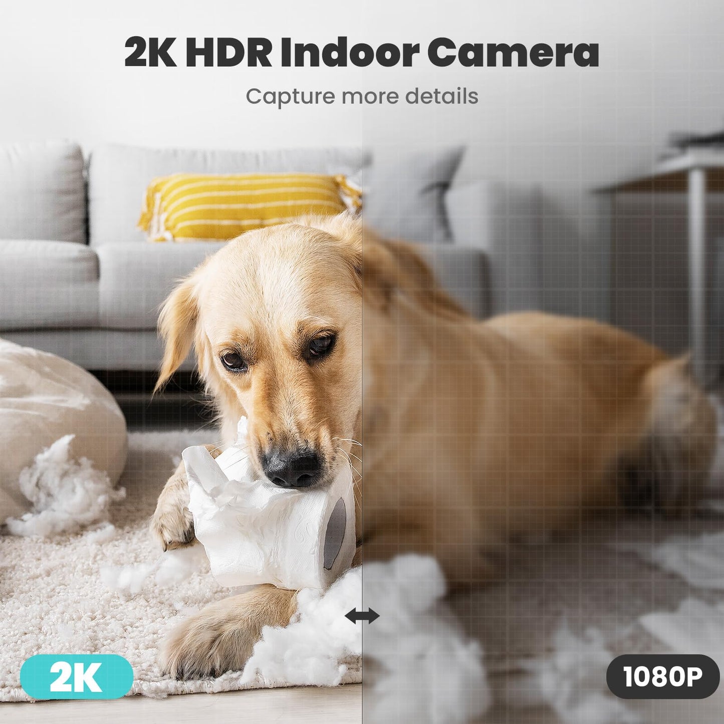 Indoor Security Camera 360°