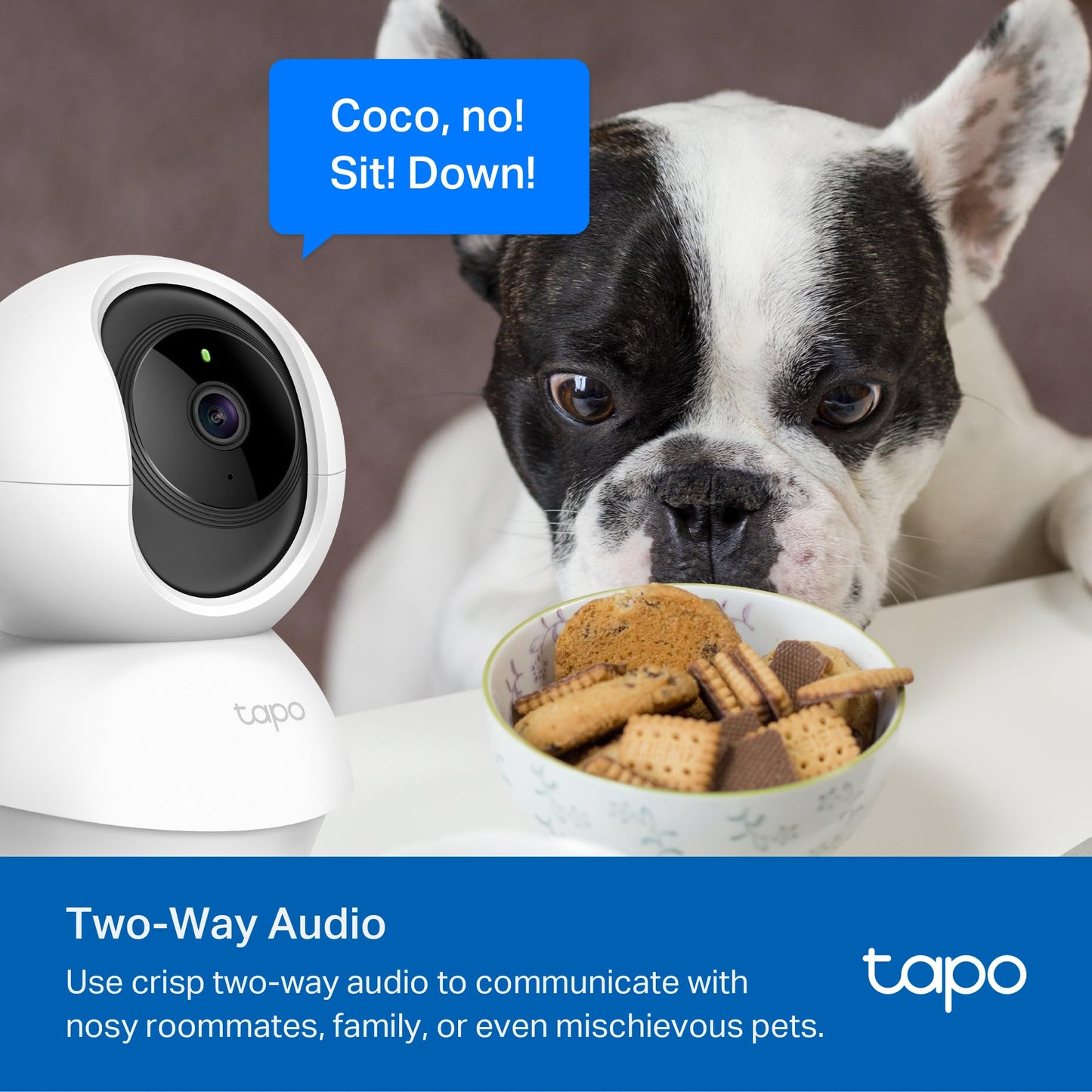 Tilt Security Camera