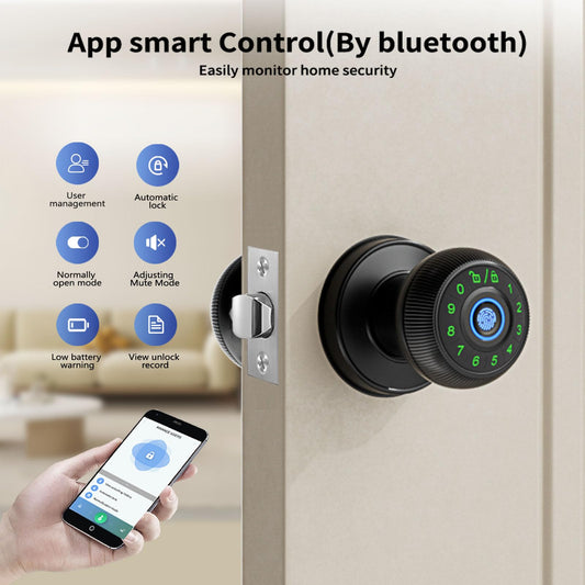 Fingerprint Door Lock