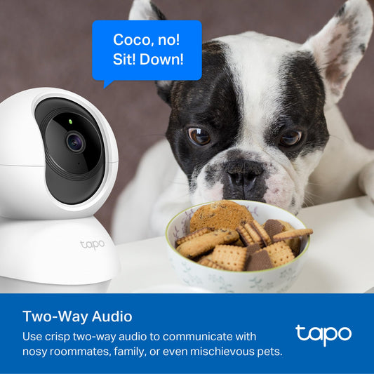 Tilt Security Camera